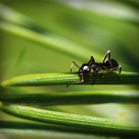 /album/rambcompzobcertword/photolia-a05-jpg/