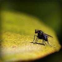 /album/rambcompzobcertword/photolia-a07-jpg/